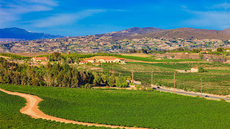 Temecula Valley