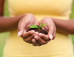 Women holding a plant between her hands